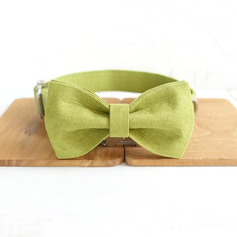 The Candy Green Personalised Dog Collar Set