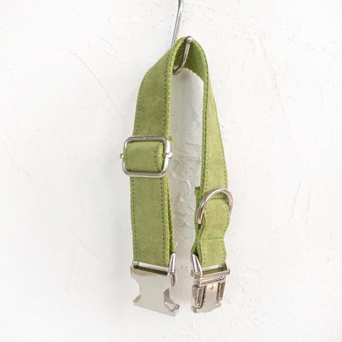 The Candy Green Personalised Dog Collar Set