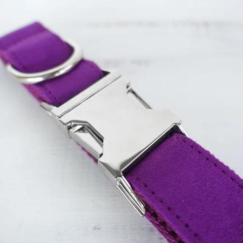 The Candy Purple Personalised Dog Collar Set