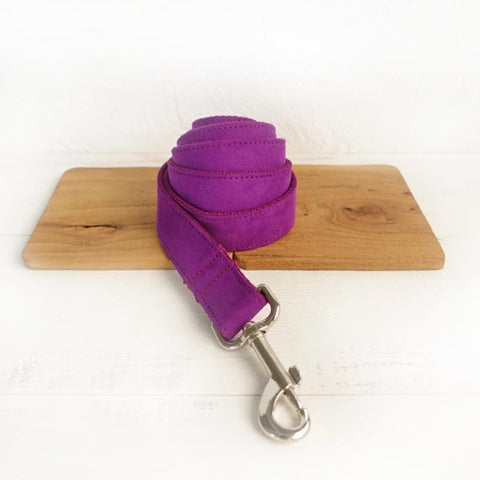 The Candy Purple Personalised Dog Collar Set