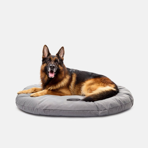 Tuff Canvas Machine Washable Dog Bed