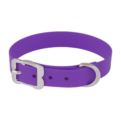 VIVID Waterproof Dog Collar