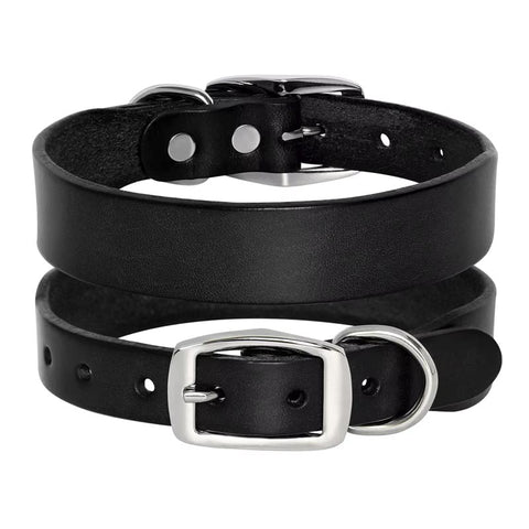 Jupiter Genuine Leather Dog Collar