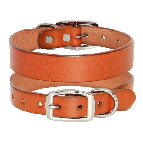 Jupiter Genuine Leather Dog Collar