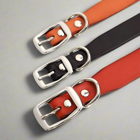 Jupiter Genuine Leather Dog Collar