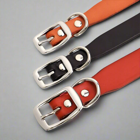 Jupiter Genuine Leather Dog Collar & Leash Set