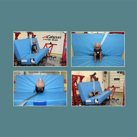 Dog Car Harness Vest Crash Tested 3 in 1