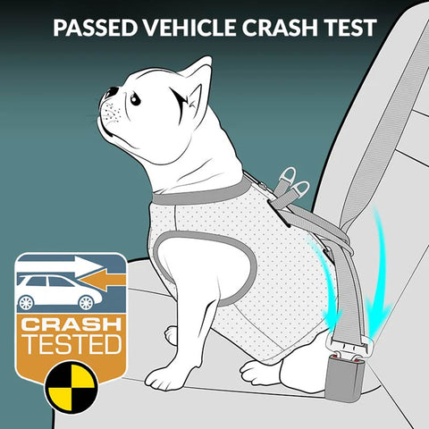 Dog Car Harness Vest Crash Tested 3 in 1