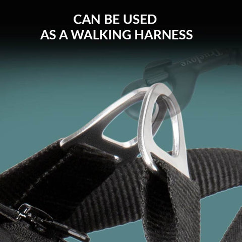 Dog Car Harness Vest Crash Tested 3 in 1