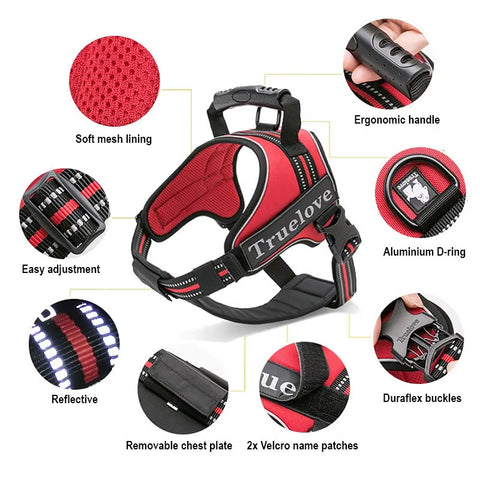 Personalised Dog Harness with Handle
