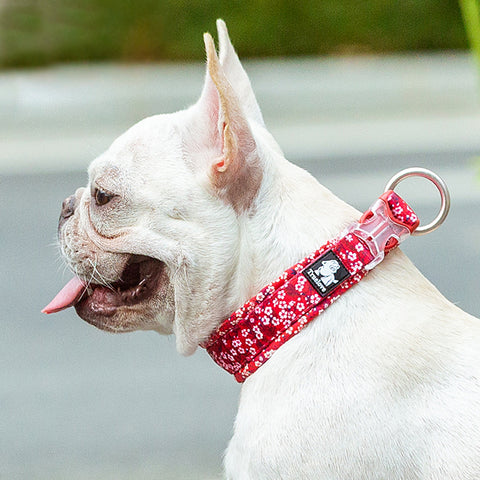 Stylish Floral Dog Collar Soft Padded