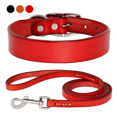 Jupiter Genuine Leather Dog Collar & Leash Set
