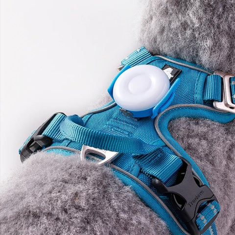 Rechargeable LED Light for Dog Collar or Harness Water Resistant