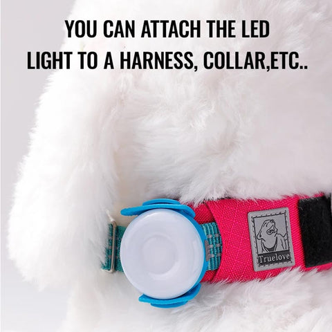 Rechargeable LED Light for Dog Collar or Harness Water Resistant