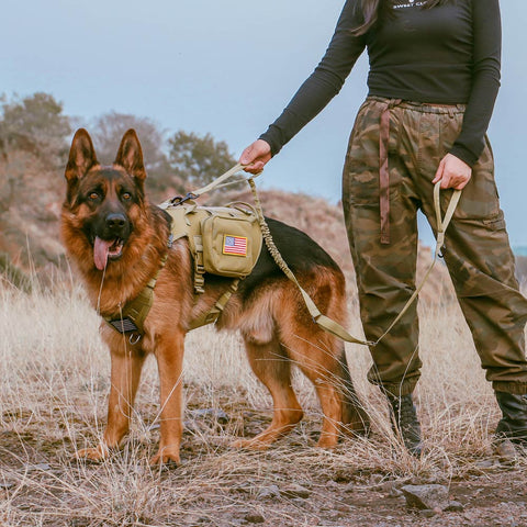 Tactical Dog Bungee Leash