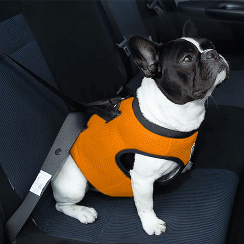 Dog Car Harness Vest Crash Tested 3 in 1