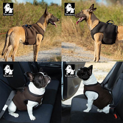 Dog Car Harness Vest Crash Tested 3 in 1