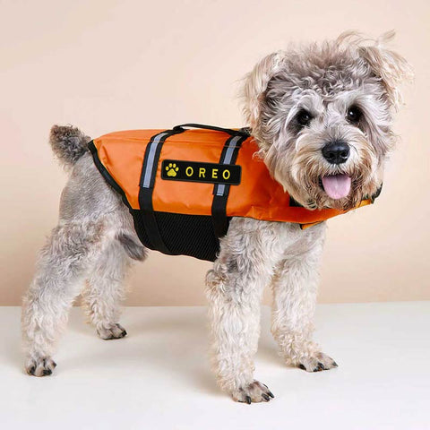 Custom Paw Dog Name Patches Embroidered Velcro Back