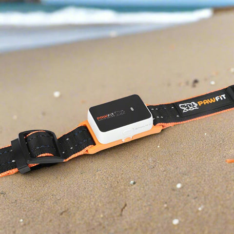 Pawfit Collar