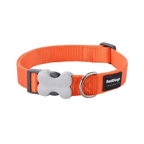 Dog Collar Plain Nylon