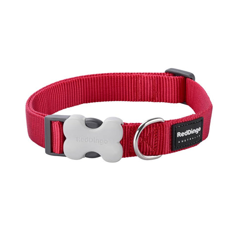 Dog Collar Plain Nylon
