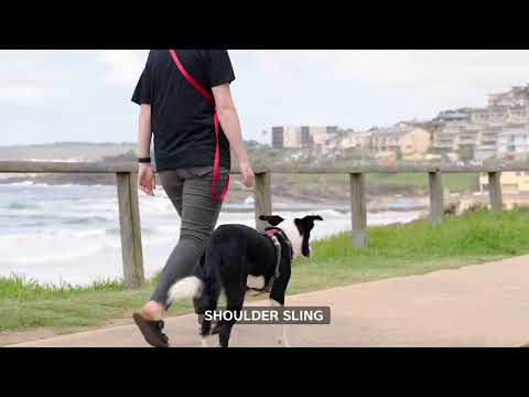 Multipurpose Super Lead