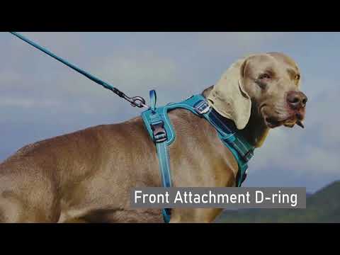Adventurer No Pull Dog Harness Extra Durable