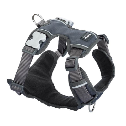 Padded Dog Harness Red Dingo