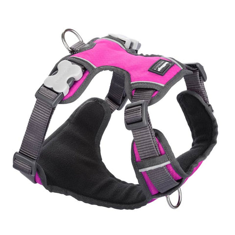 Padded Dog Harness Red Dingo