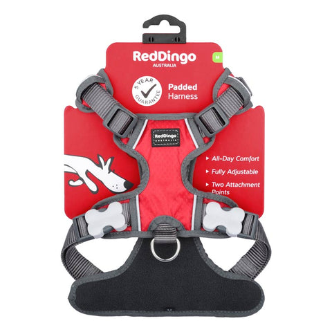 Padded Dog Harness Red Dingo
