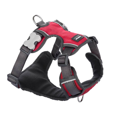 Padded Dog Harness Red Dingo