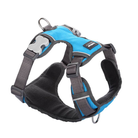 Padded Dog Harness Red Dingo