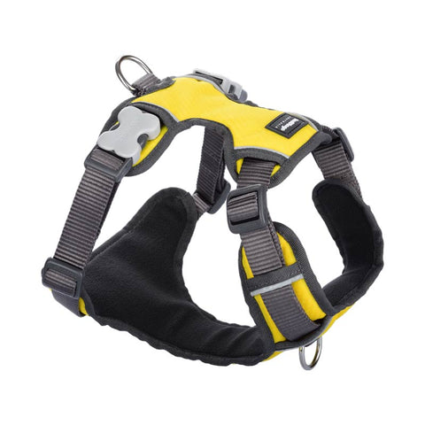 Padded Dog Harness Red Dingo