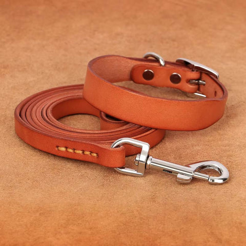 Jupiter Genuine Leather Dog Collar & Leash Set