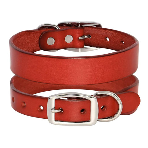 Jupiter Genuine Leather Dog Collar