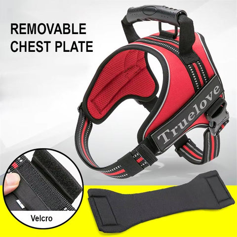Personalised Dog Harness with Handle