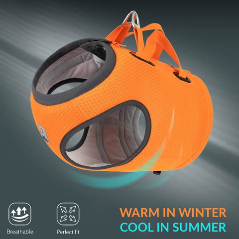 Dog Car Harness Vest Crash Tested 3 in 1