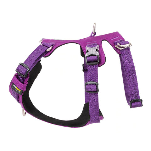 Escape Proof Dog Harness Double-H Waterproof Dog Nation