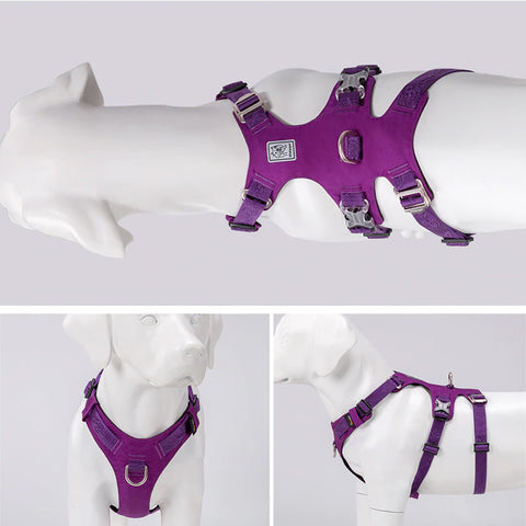 Escape Proof Dog Harness Double-H Waterproof Dog Nation