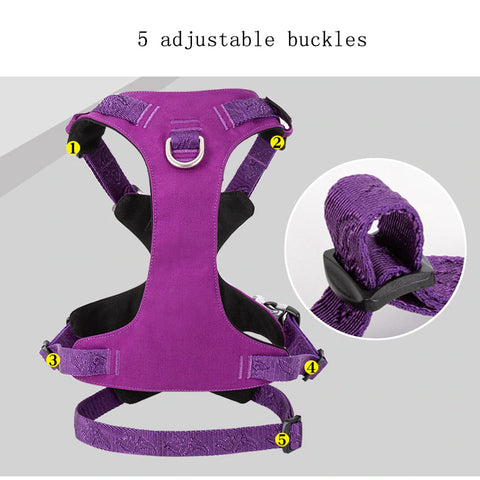 Escape Proof Dog Harness Double-H Waterproof Dog Nation