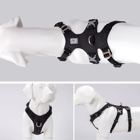 Escape Proof Dog Harness Double-H Waterproof Dog Nation