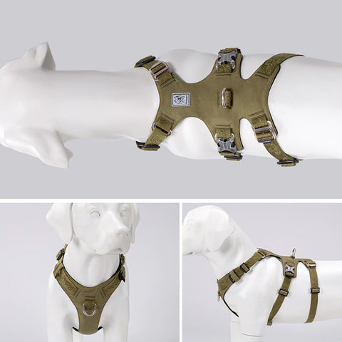 Escape Proof Dog Harness Double-H Waterproof Dog Nation