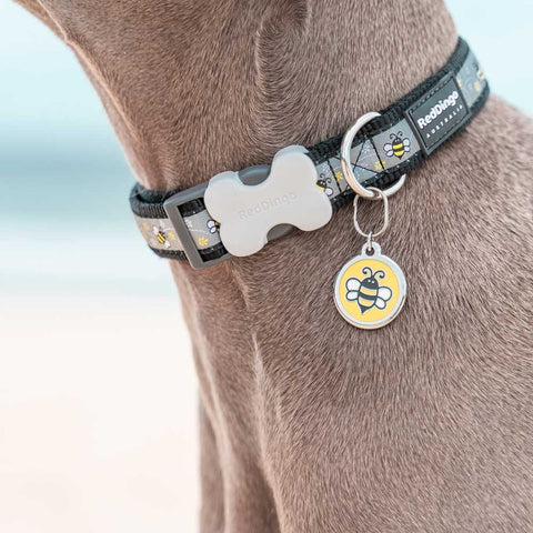 Dog Collar Bumble Bee Black Dog Nation