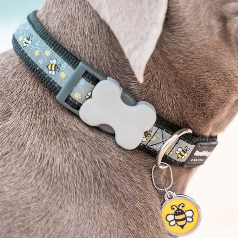 Dog Collar Bumble Bee Black Dog Nation
