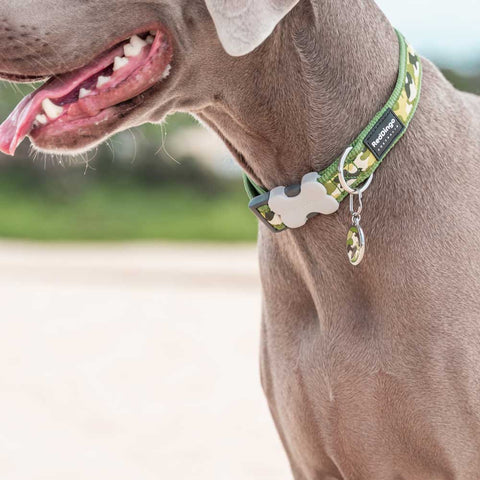 Dog Collar Camouflage Green Dog Nation