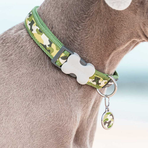 Dog Collar Camouflage Green Dog Nation