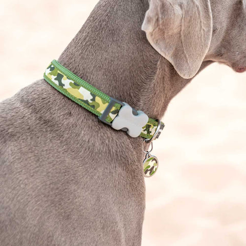 Dog Collar Camouflage Green Dog Nation