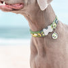 Dog ID Tags Camouflage Dog Nation