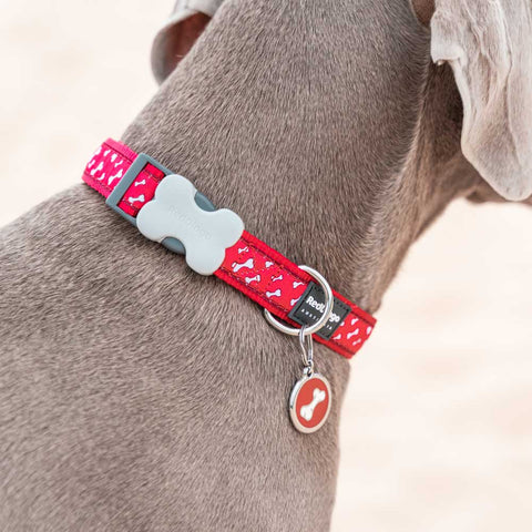 Dog Collar Flying Bones Red Dog Nation