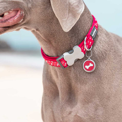 Dog Collar Flying Bones Red Dog Nation